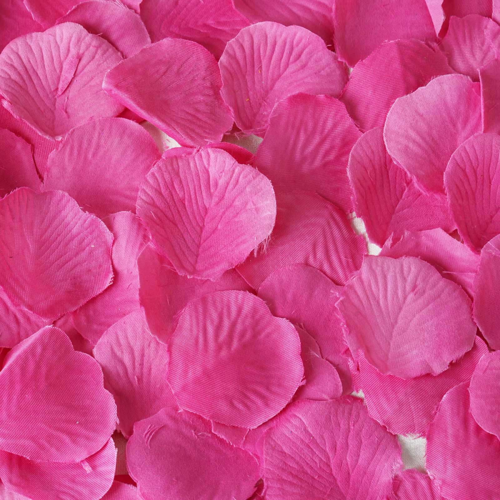 500 Pack Fuchsia Silk Rose Petals Table Confetti or Floor Scatters