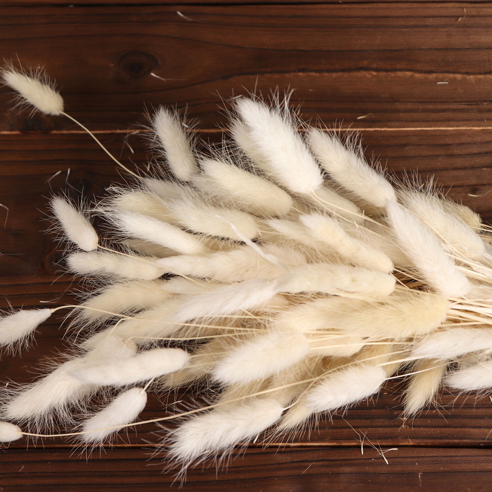50 Pack Natural White Rabbit Tail Dried Pampas Grass Flower Bouquets, Boho Stem Arrangements 15"