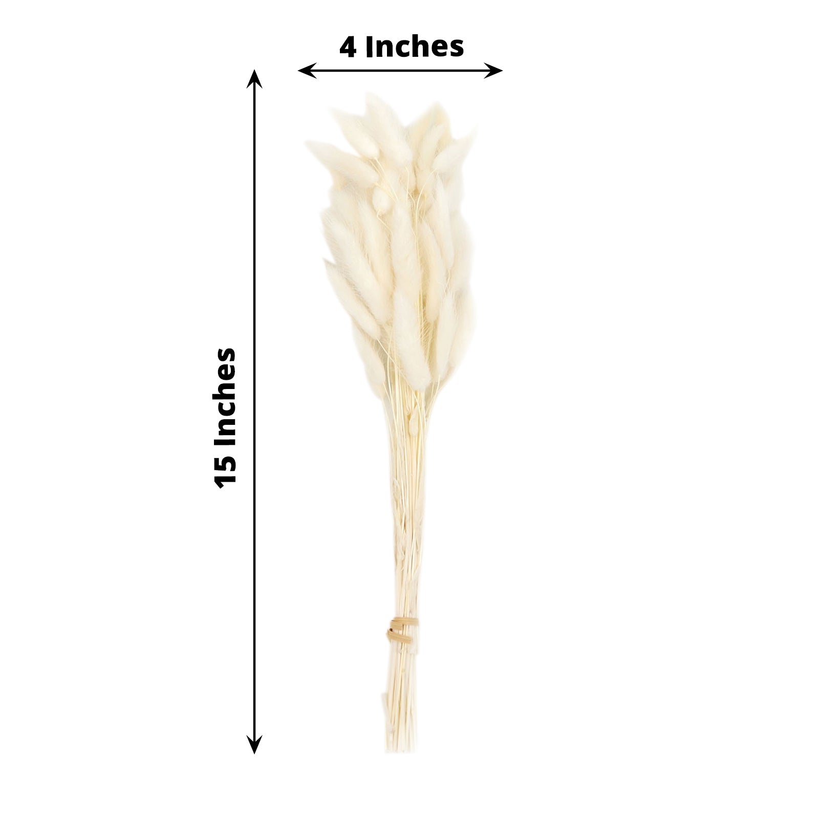 50 Pack Natural White Rabbit Tail Dried Pampas Grass Flower Bouquets, Boho Stem Arrangements 15"