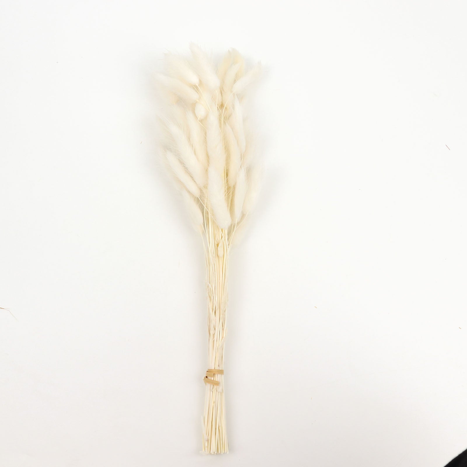 50 Pack Natural White Rabbit Tail Dried Pampas Grass Flower Bouquets, Boho Stem Arrangements 15"