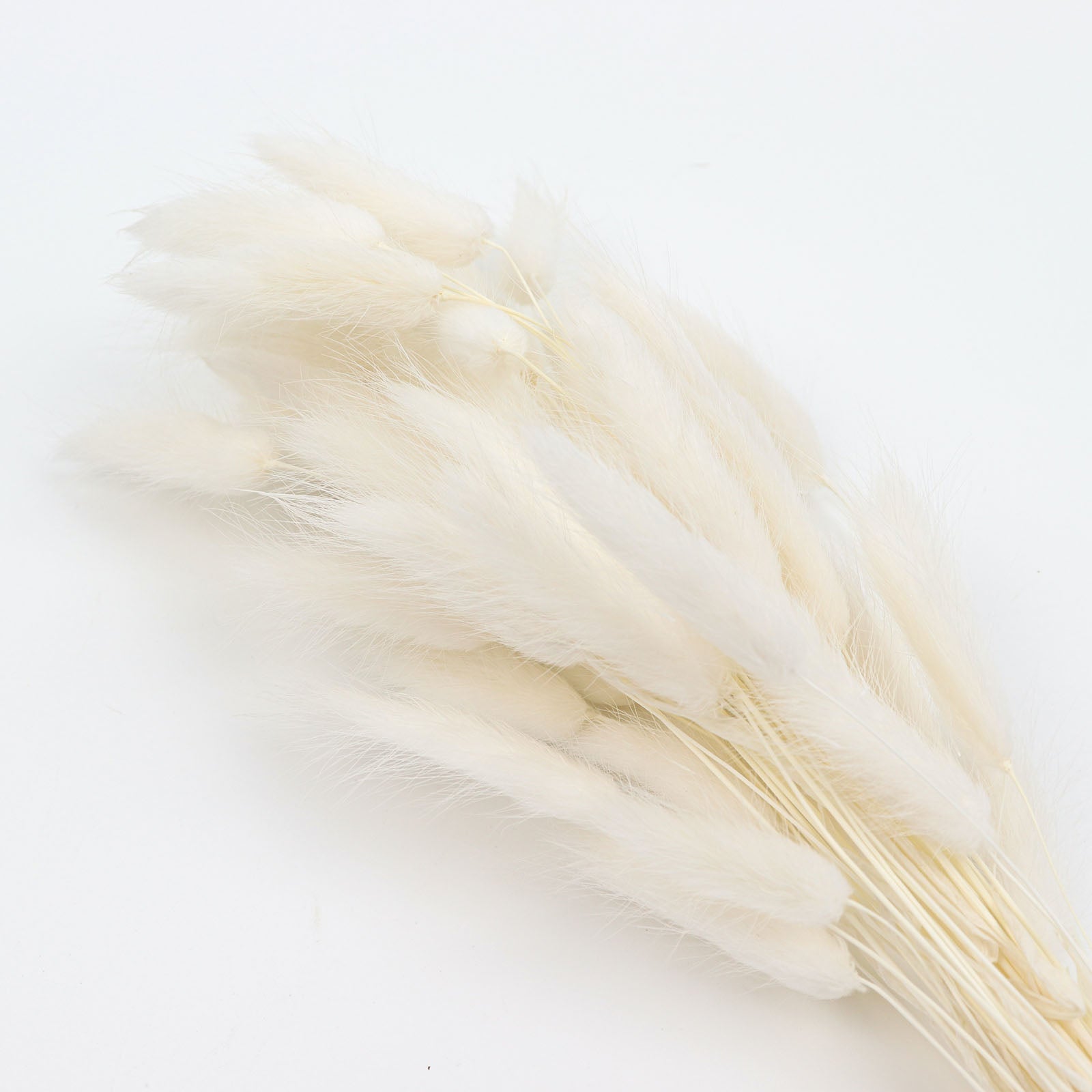 50 Pack Natural White Rabbit Tail Dried Pampas Grass Flower Bouquets, Boho Stem Arrangements 15"